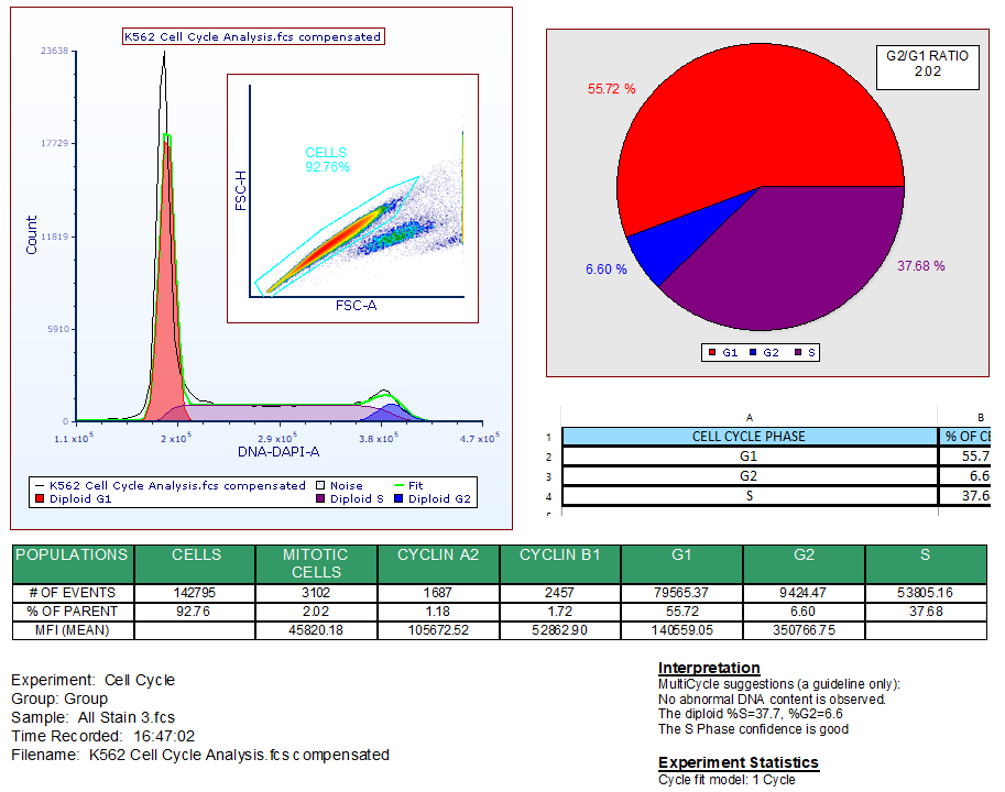 attunecellcycle2 Graphical Representations